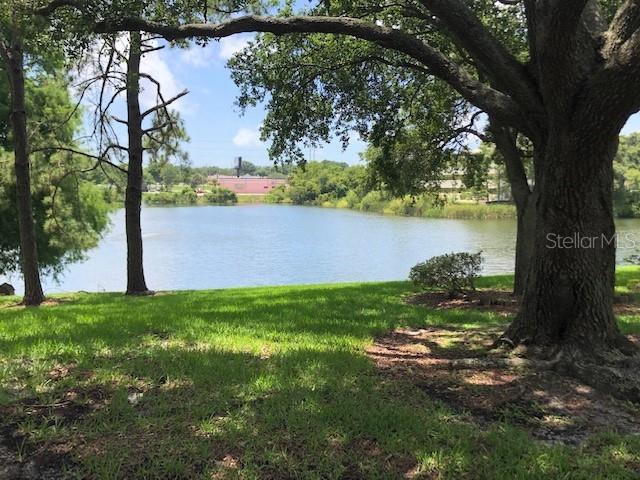 2690 CORAL LANDINGS BLVD #438, PALM HARBOR, FL — photo 19