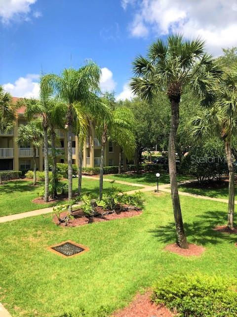 2690 CORAL LANDINGS BLVD #438, PALM HARBOR, FL — photo 20