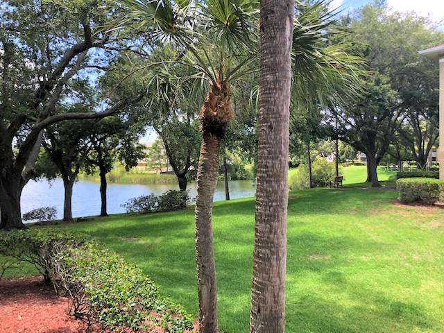 2690 CORAL LANDINGS BLVD #438, PALM HARBOR, FL — photo 21