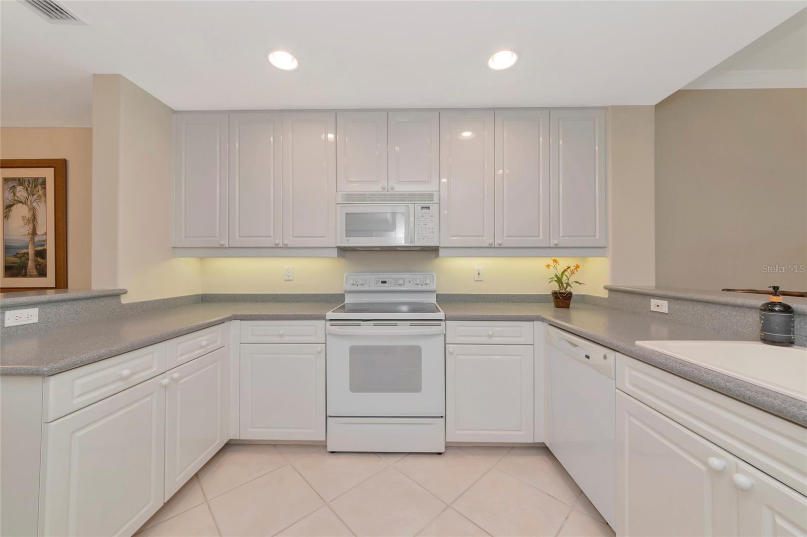242 HIDDEN BAY DR #602, OSPREY, FL — photo 9