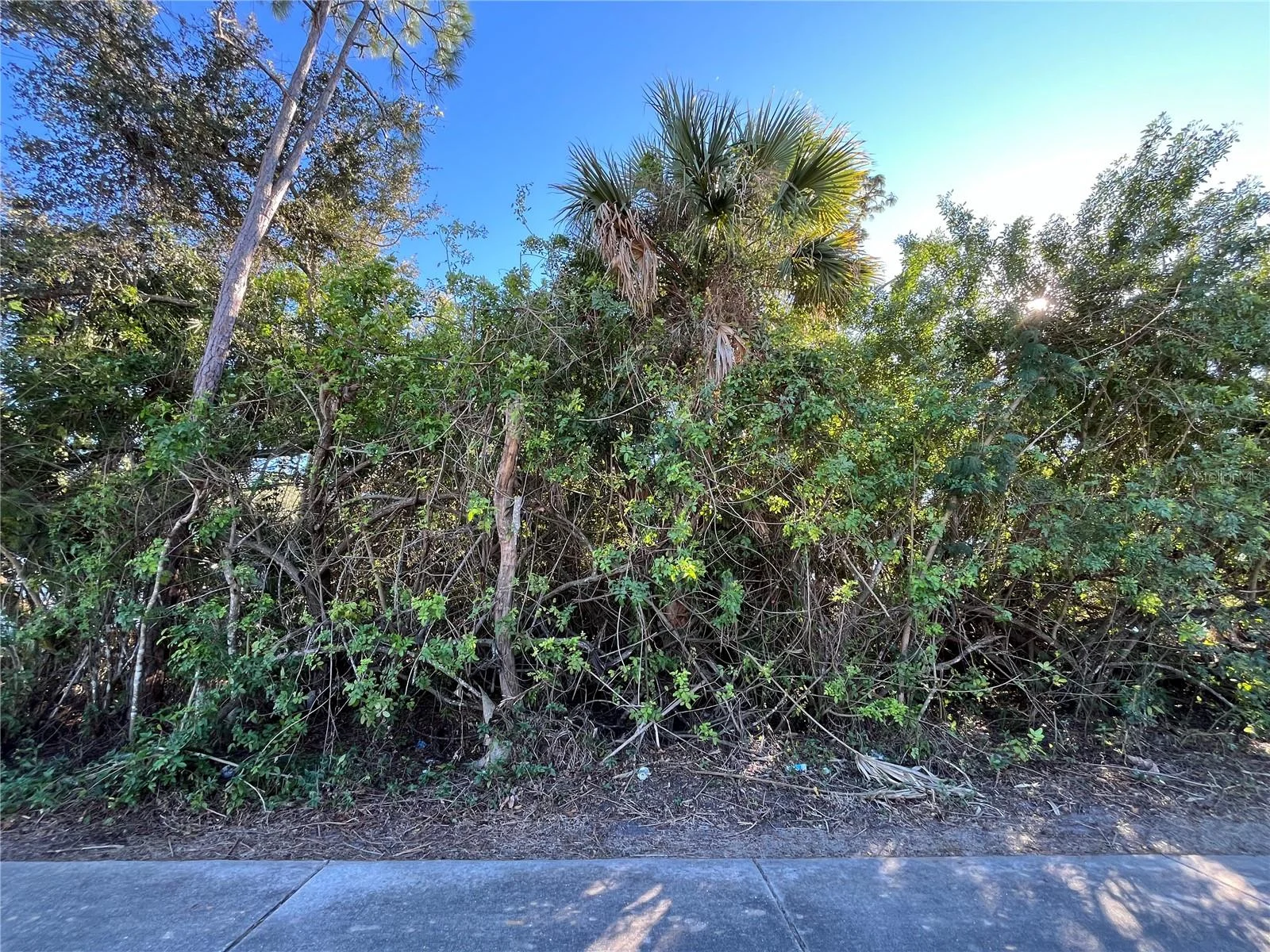 20417 QUESADA AVE, PORT CHARLOTTE, FL — photo 3