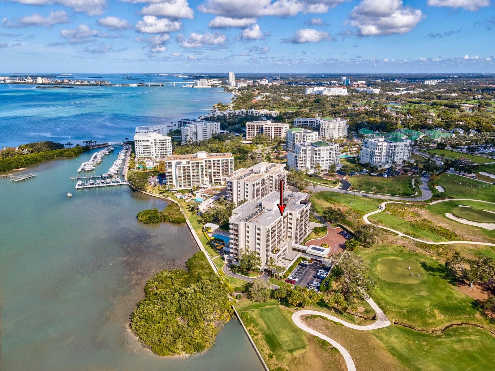 4 BELLEVIEW BLVD #804, BELLEAIR, FL — photo 33
