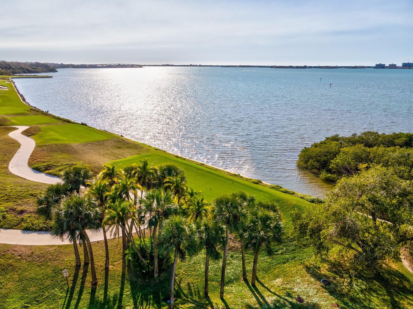 4 BELLEVIEW BLVD #804, BELLEAIR, FL — photo 30