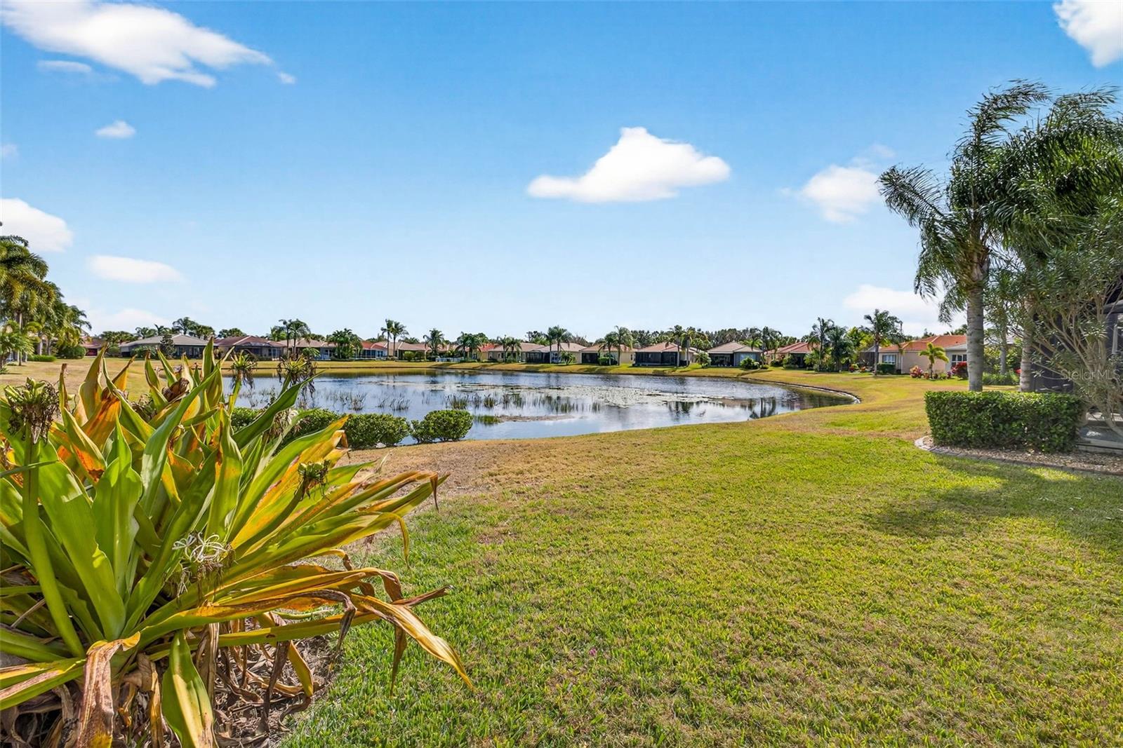15709 CRYSTAL WATERS DR, WIMAUMA, FL — photo 62