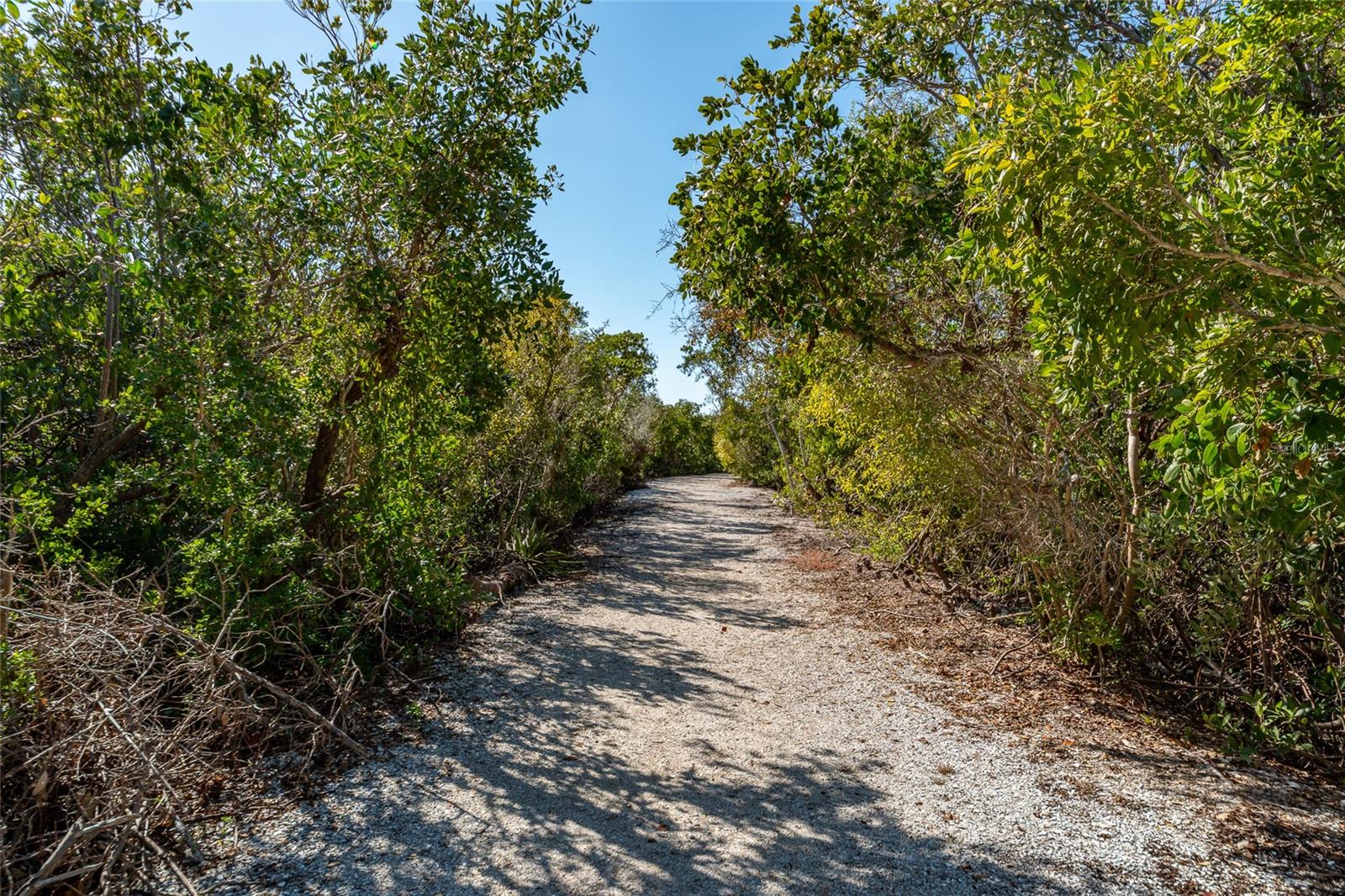 5408 EAGLES POINT CIR #302, SARASOTA, FL — photo 59