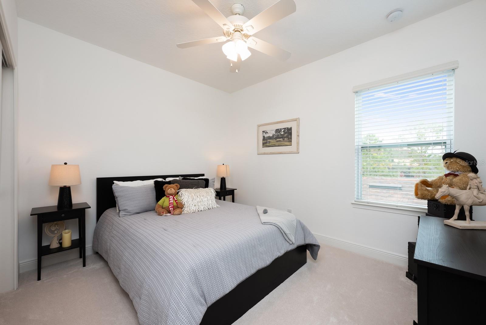 12305 VIA DERNA PL, WINDERMERE, FL — photo 17