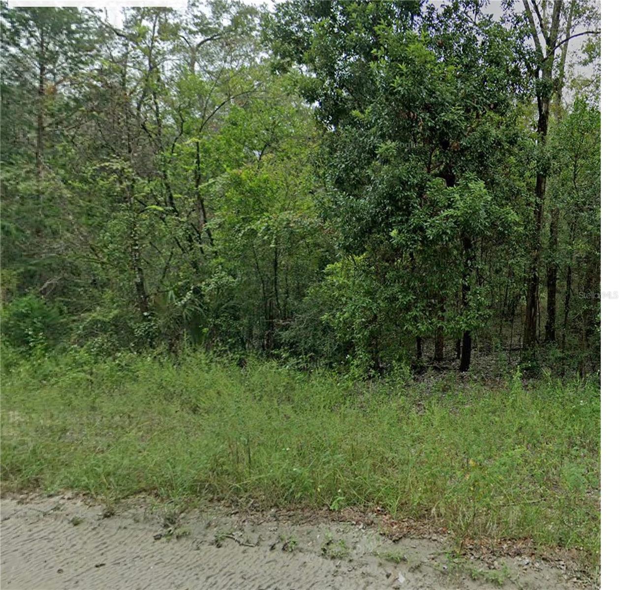 0 NE 160TH AVE, WILLISTON, FL