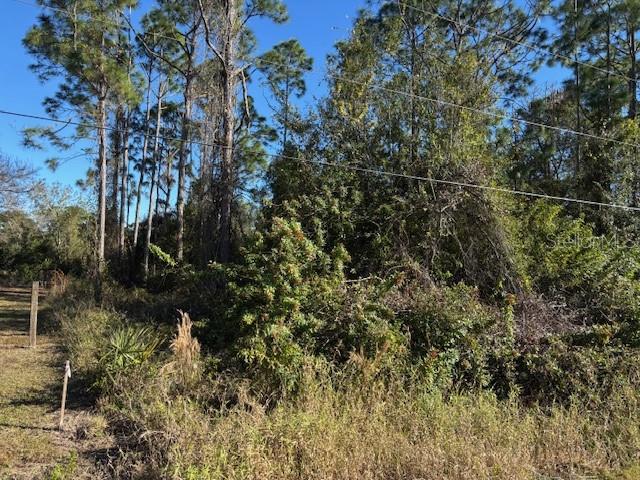 13636 SULKY DR, PUNTA GORDA, FL — photo 4