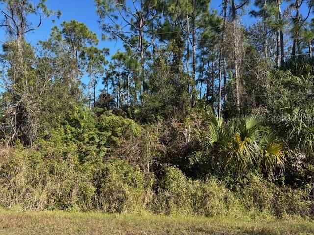 13636 SULKY DR, PUNTA GORDA, FL — photo 5