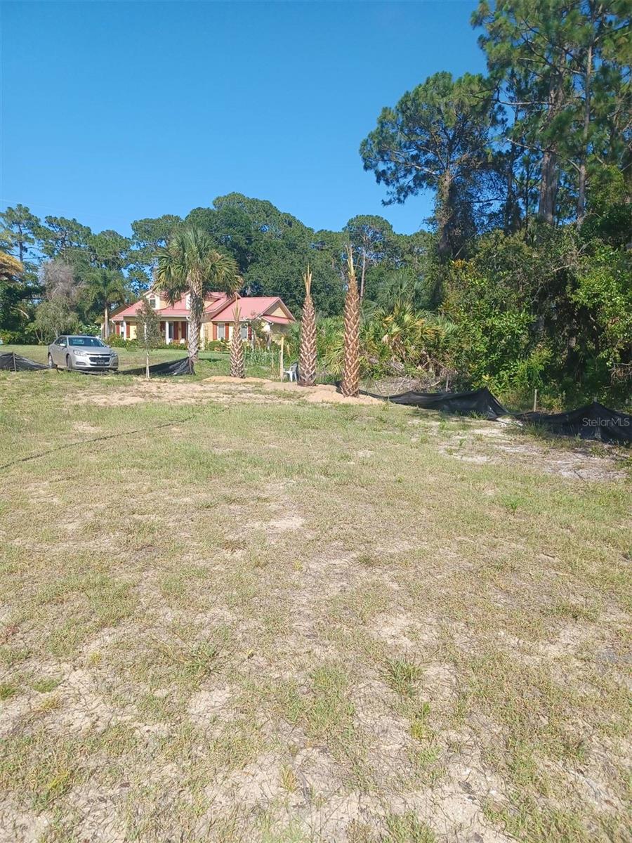 LIN GINA TER, EDGEWATER, FL — photo 3