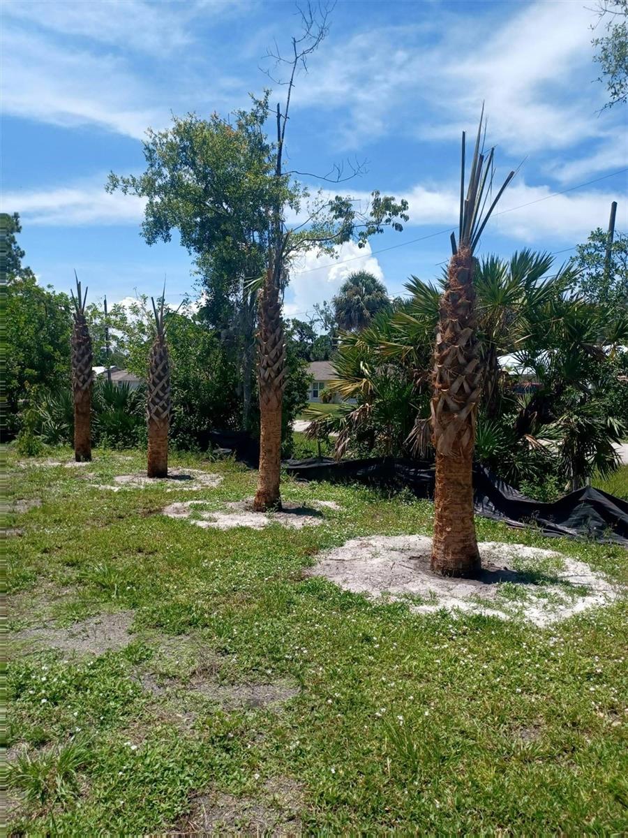 LIN GINA TER, EDGEWATER, FL — photo 5