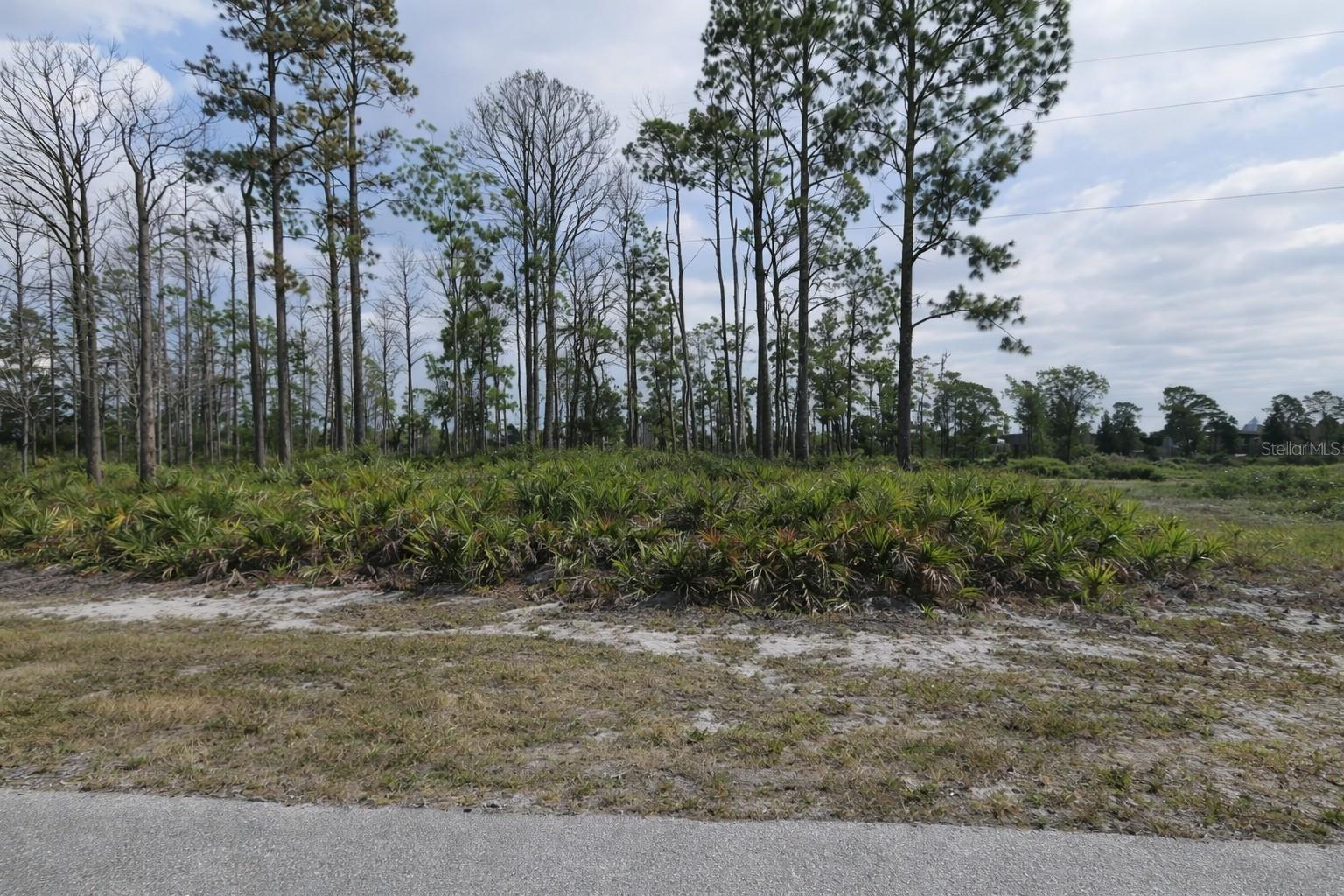 8 MAST DR, PLACIDA, FL