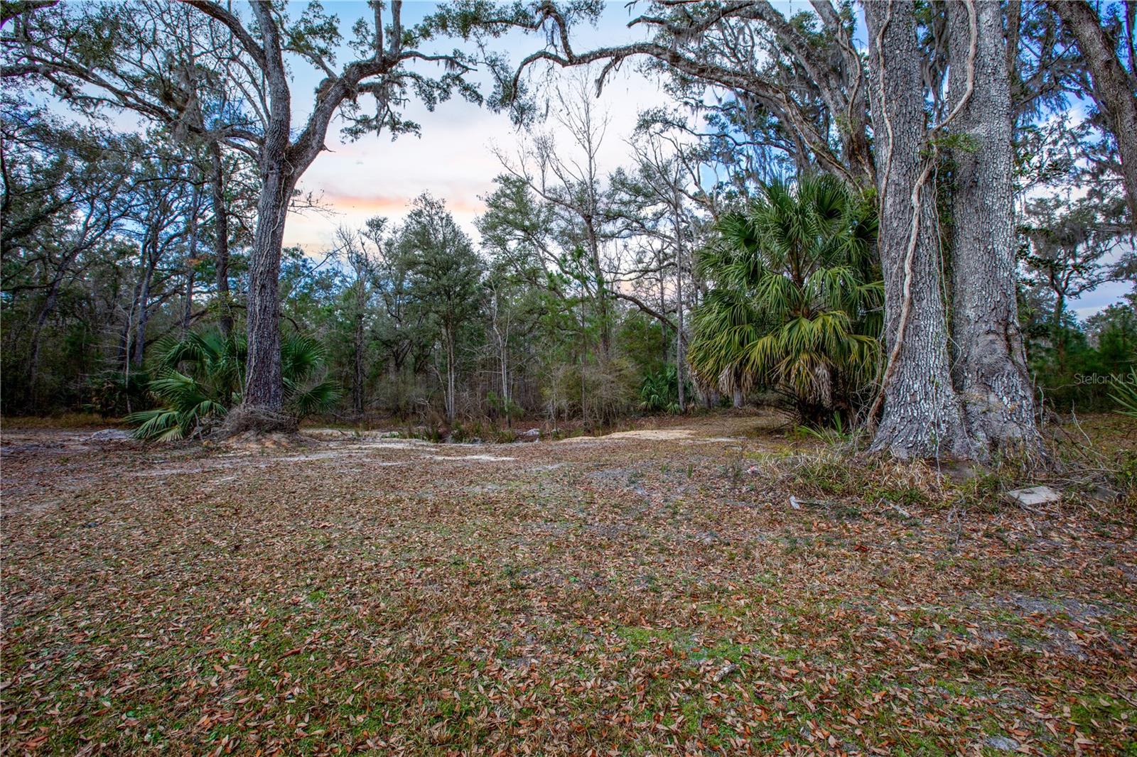 402 SE 709 ST, OLD TOWN, FL — photo 33