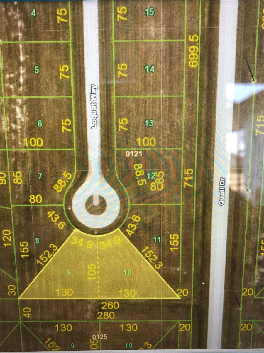 1 LOQUAT WAY, PLACIDA, FL — photo 2