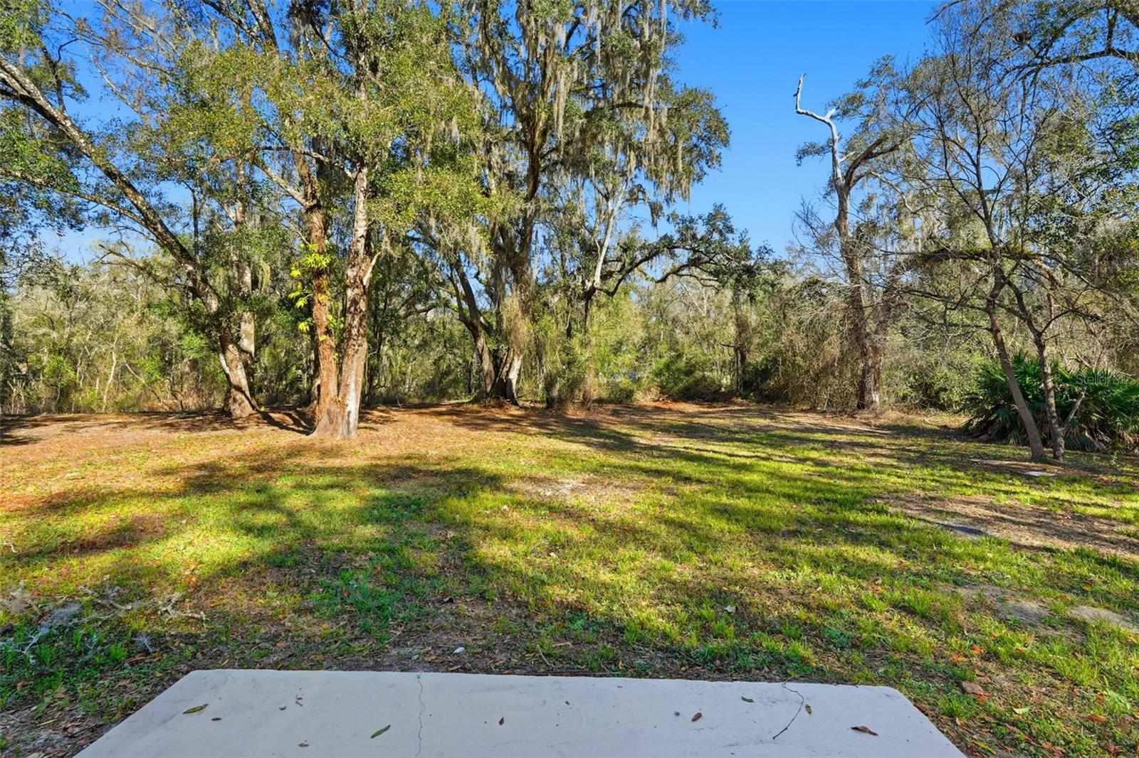 34071 MADISON AVE, DADE CITY, FL — photo 35