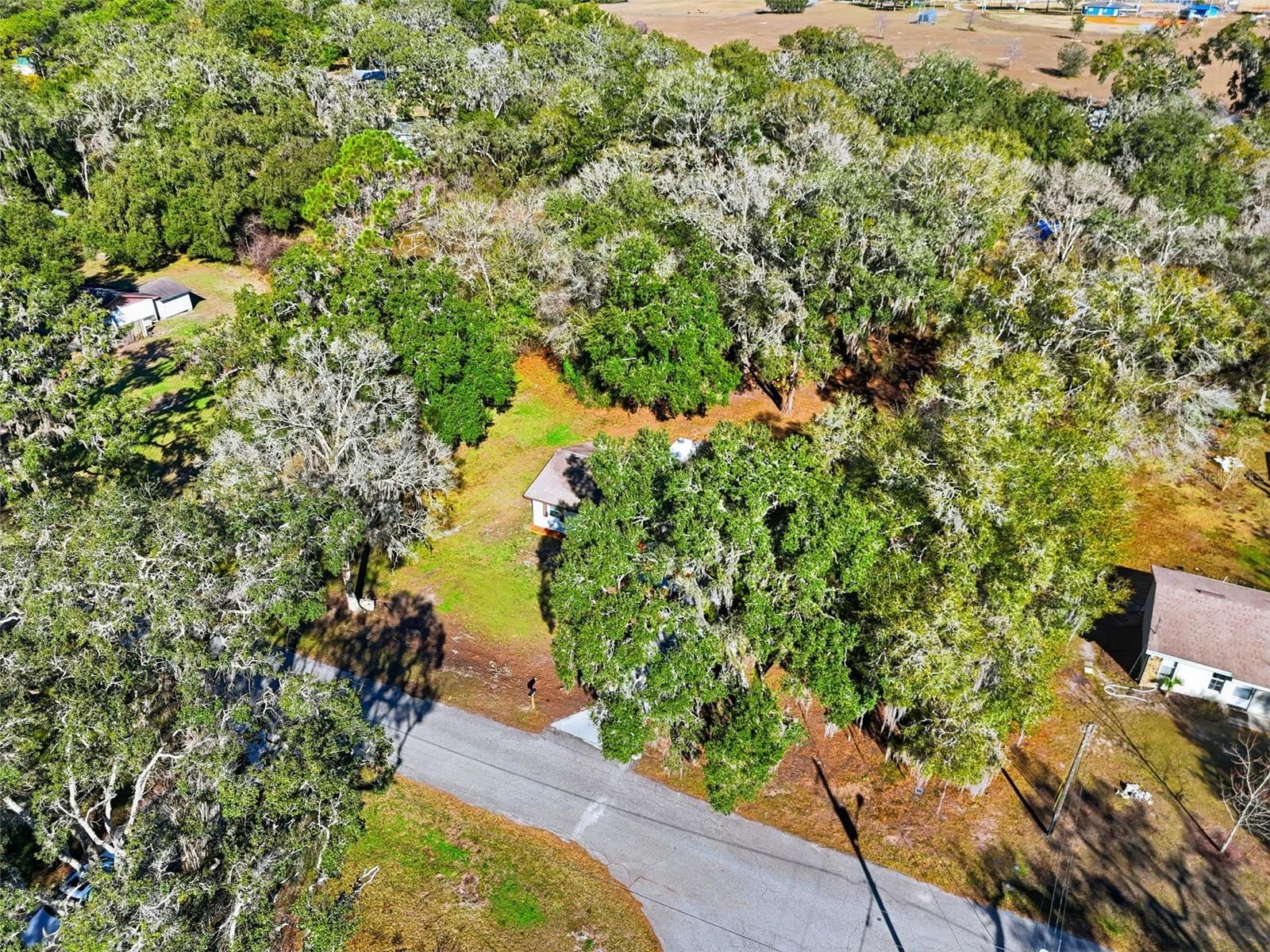 34071 MADISON AVE, DADE CITY, FL — photo 37