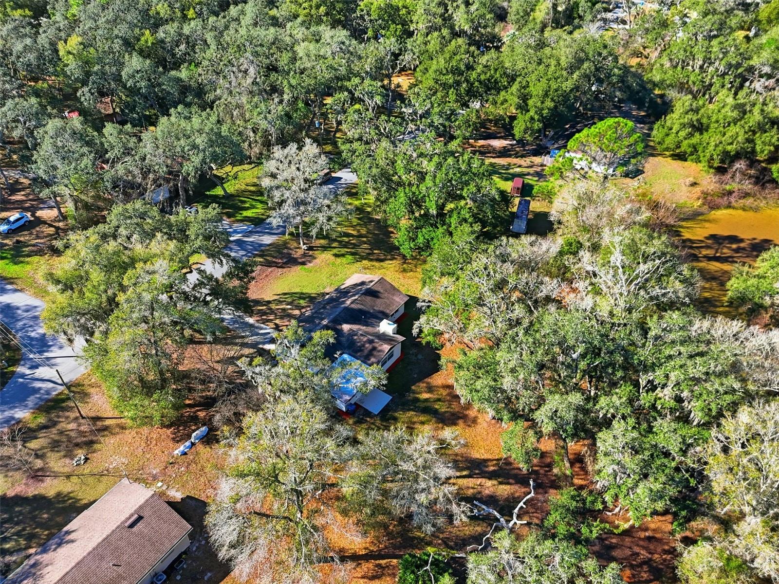 34071 MADISON AVE, DADE CITY, FL — photo 38