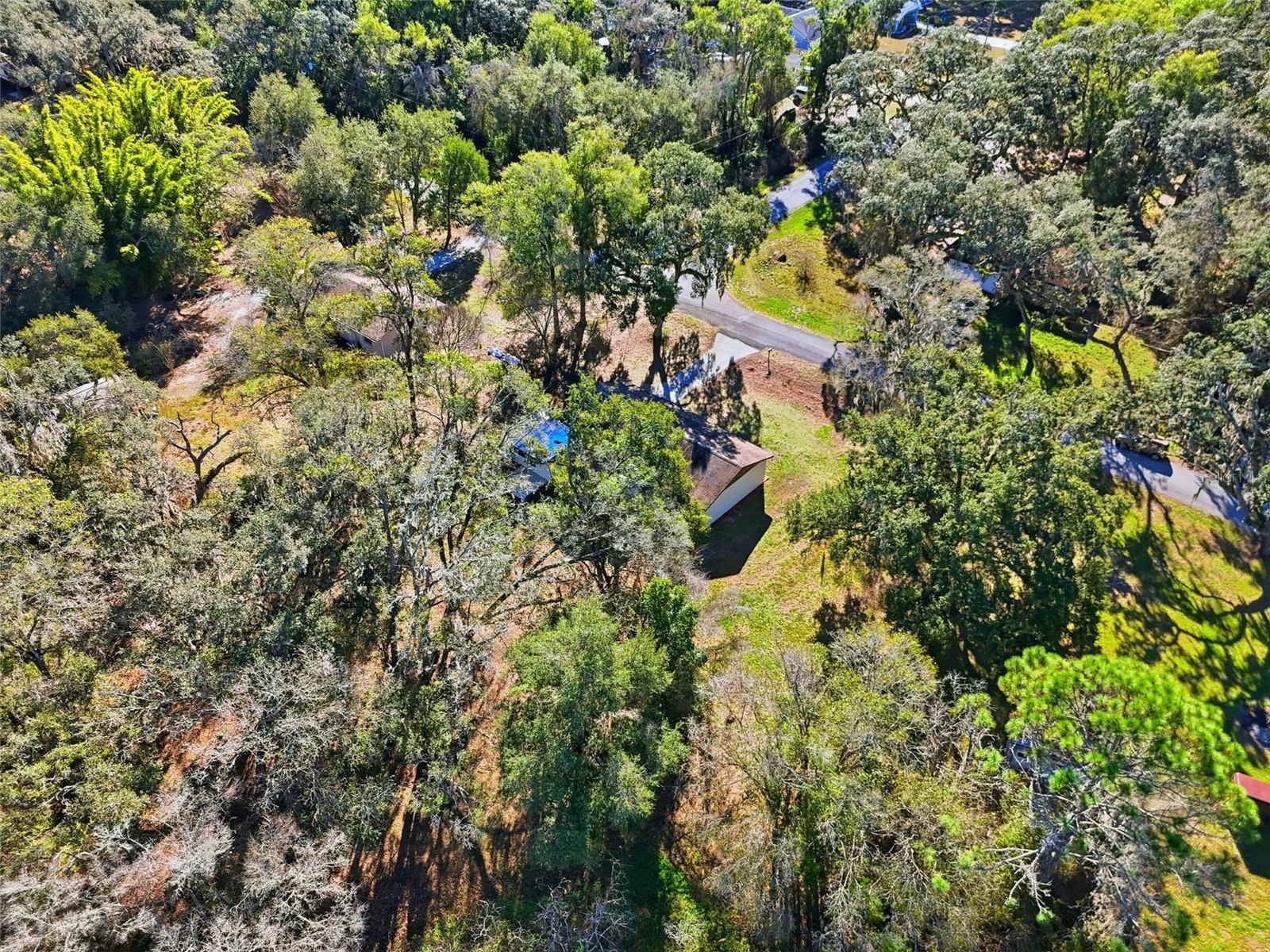 34071 MADISON AVE, DADE CITY, FL — photo 39