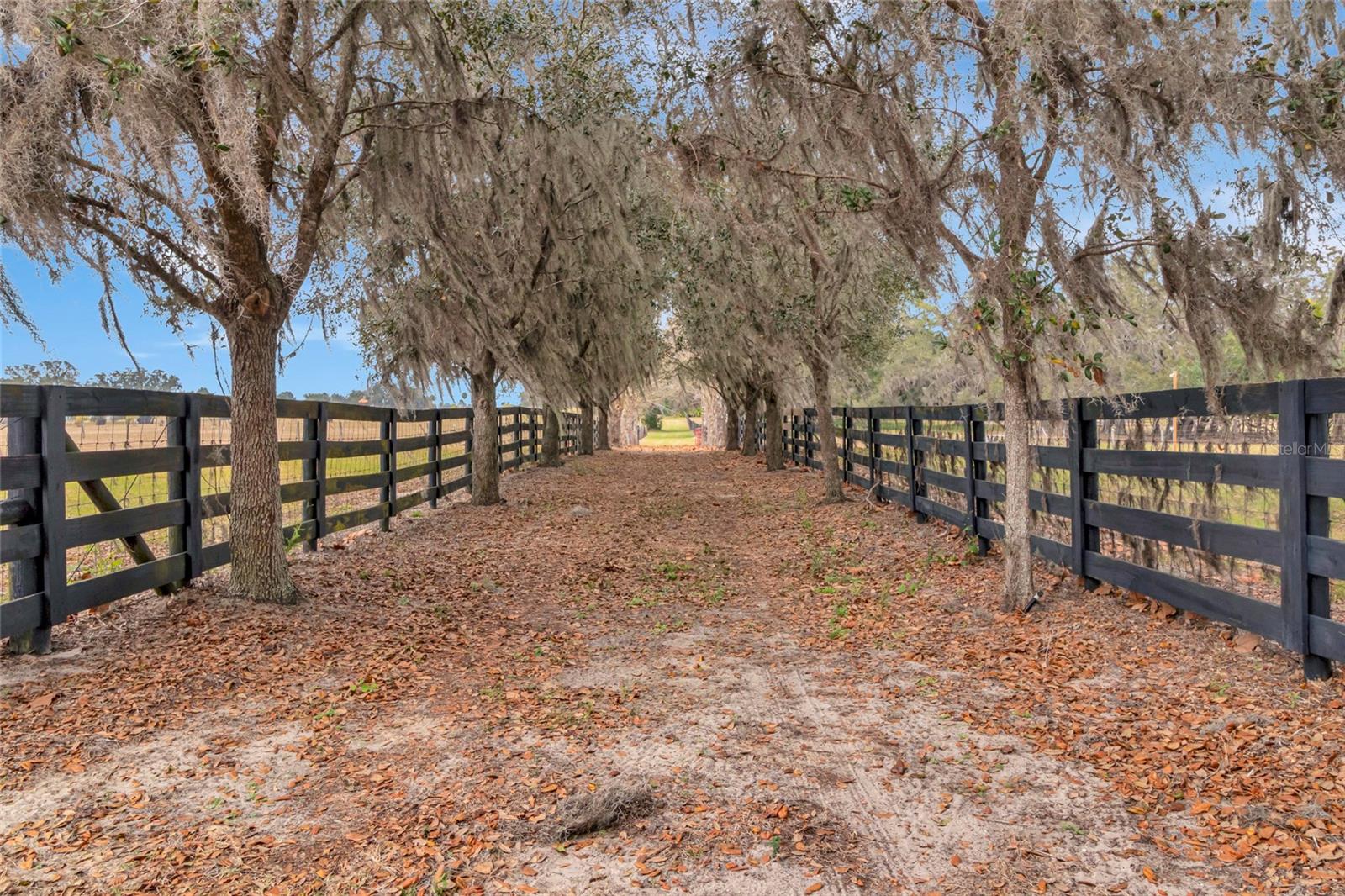 WOLF BRANCH RD, SORRENTO, FL — photo 5