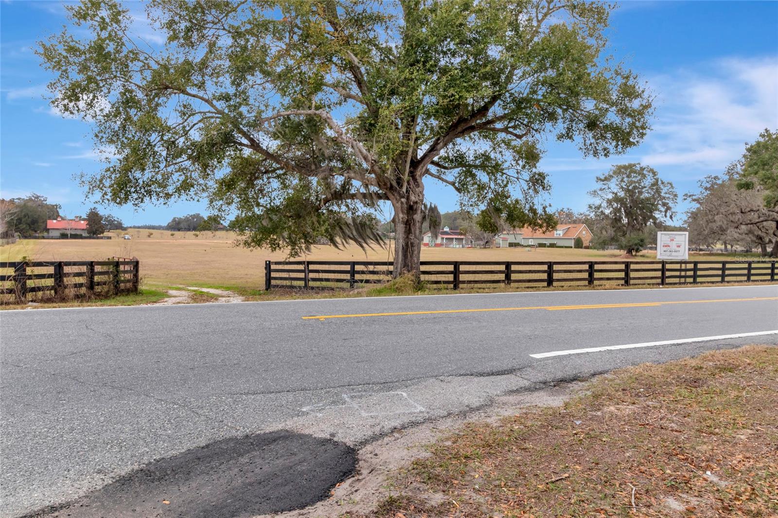 WOLF BRANCH RD, SORRENTO, FL — photo 7