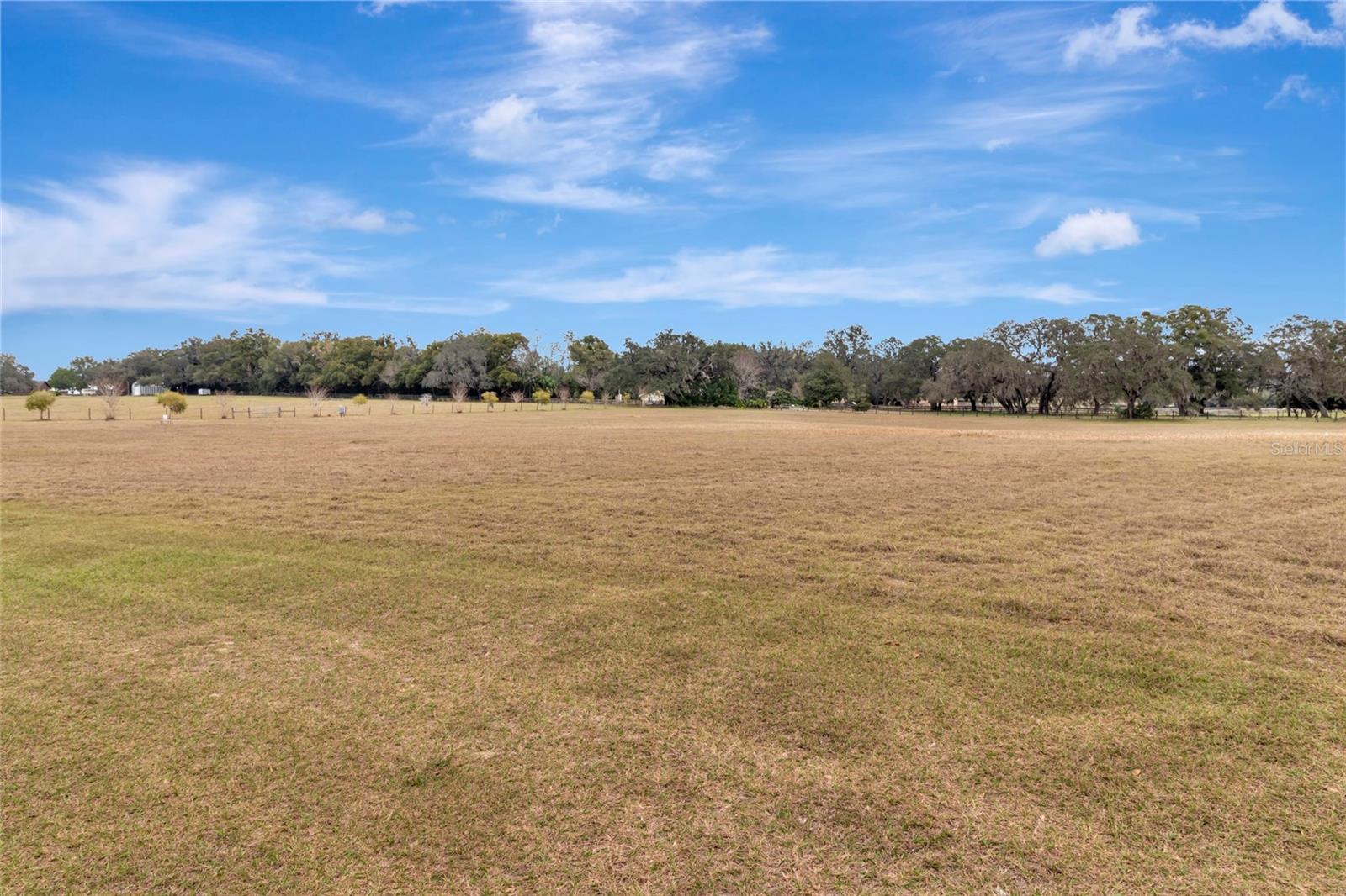 WOLF BRANCH RD, SORRENTO, FL — photo 65
