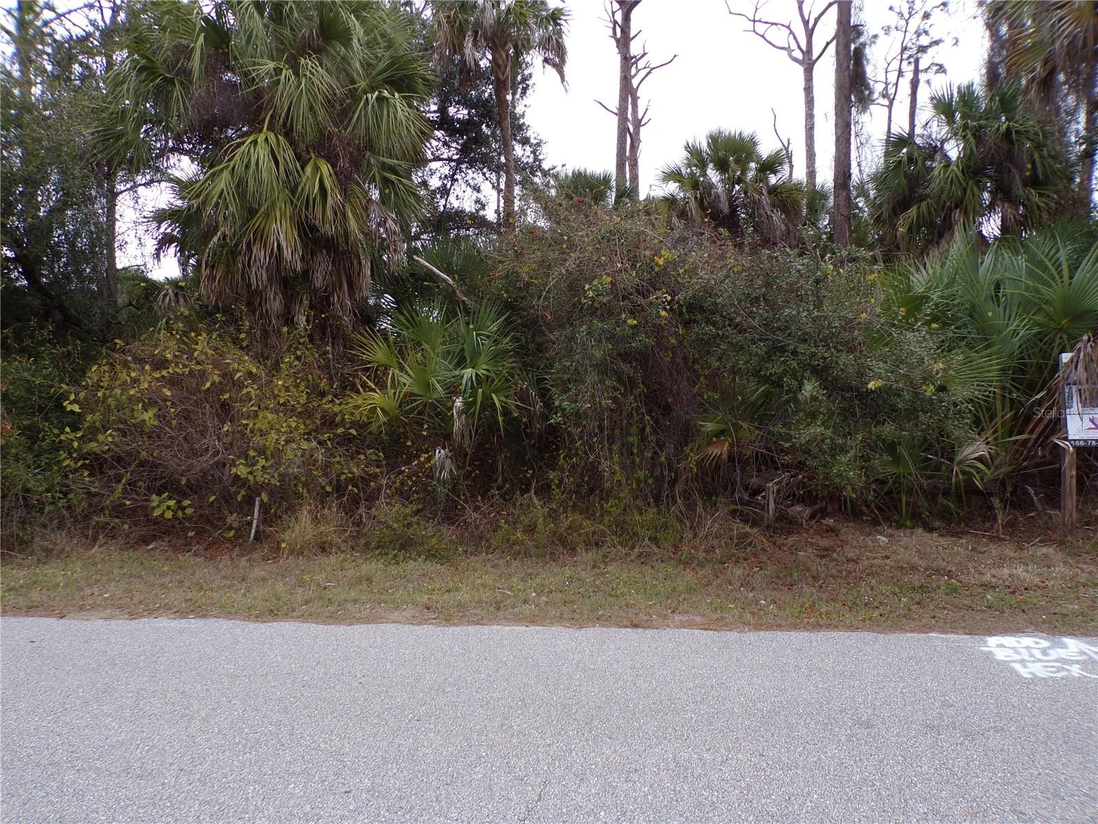 MUSIC LN, NORTH PORT, FL — photo 5