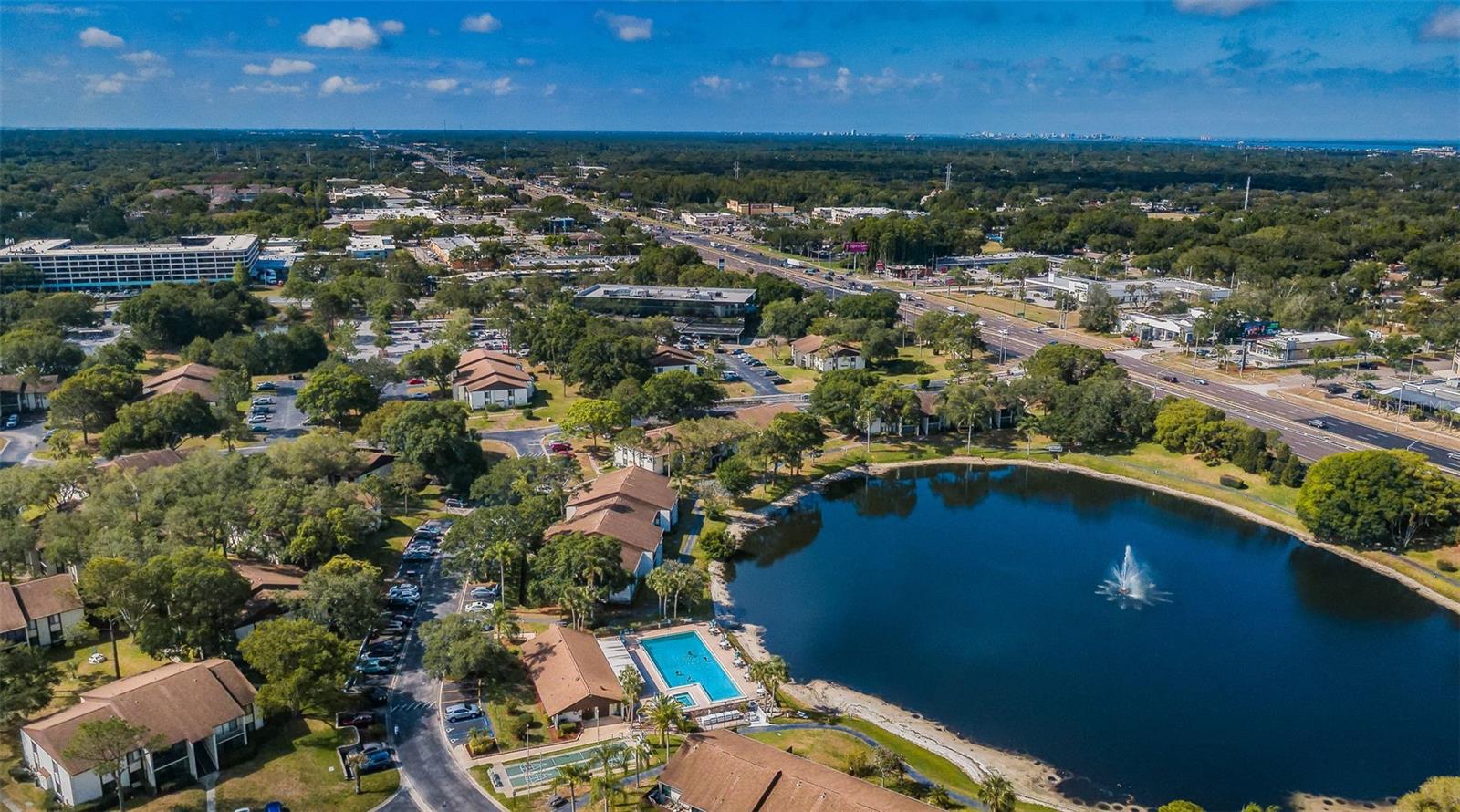 2522 PINE RIDGE WAY S #A2, PALM HARBOR, FL — photo 21