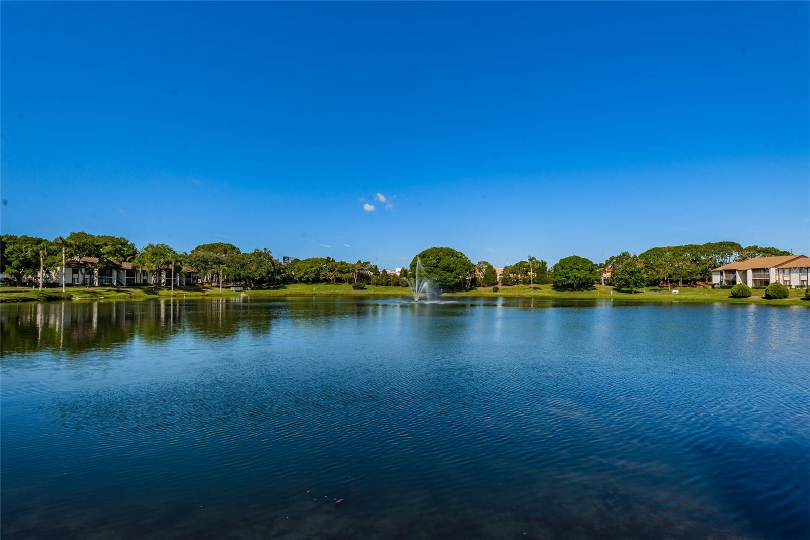2522 PINE RIDGE WAY S #A2, PALM HARBOR, FL — photo 29
