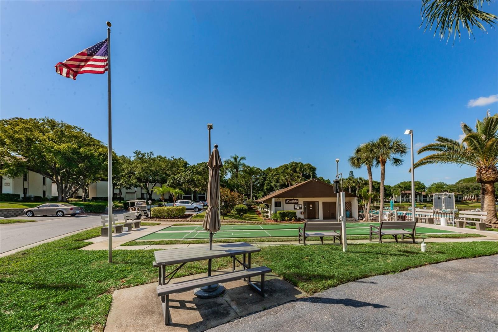 2522 PINE RIDGE WAY S #A2, PALM HARBOR, FL — photo 31
