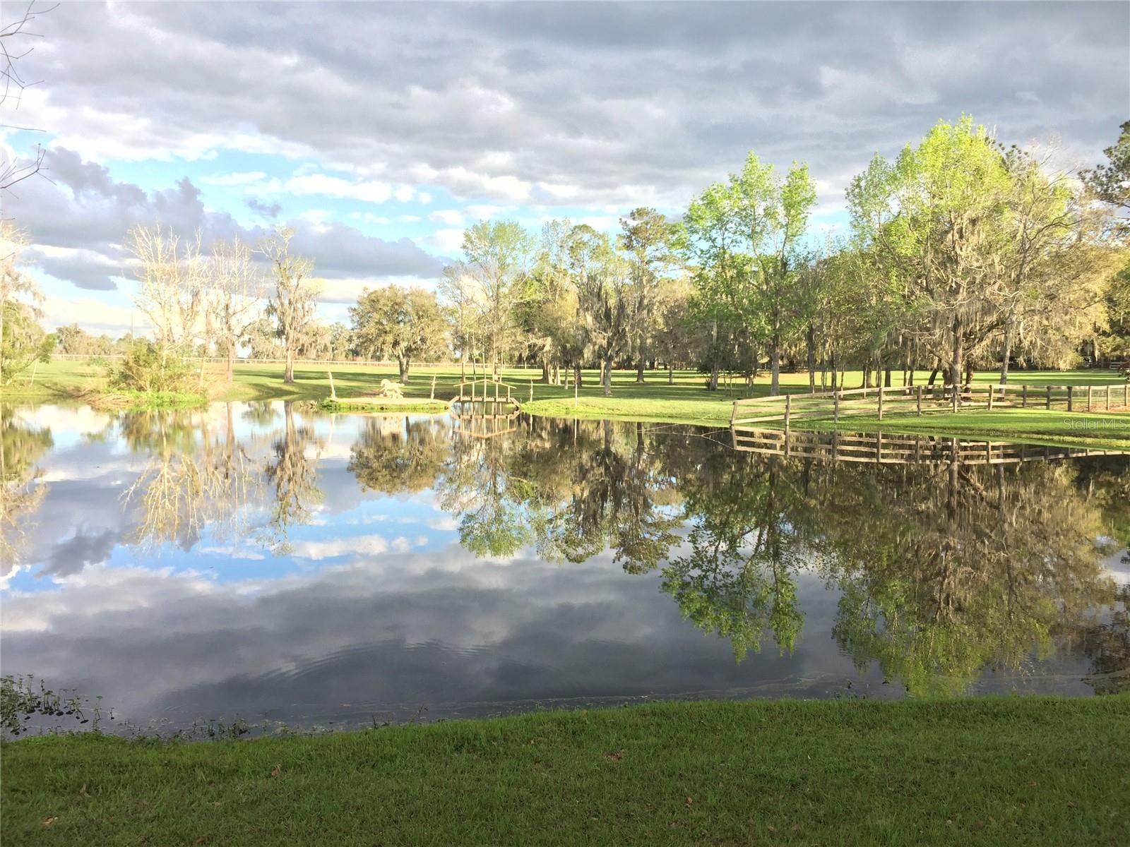 15000 W HWY 318, WILLISTON, FL — photo 7