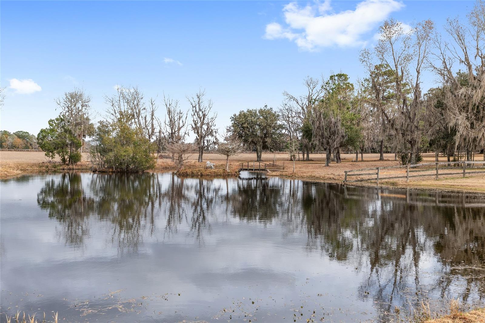 15000 W HWY 318, WILLISTON, FL — photo 58