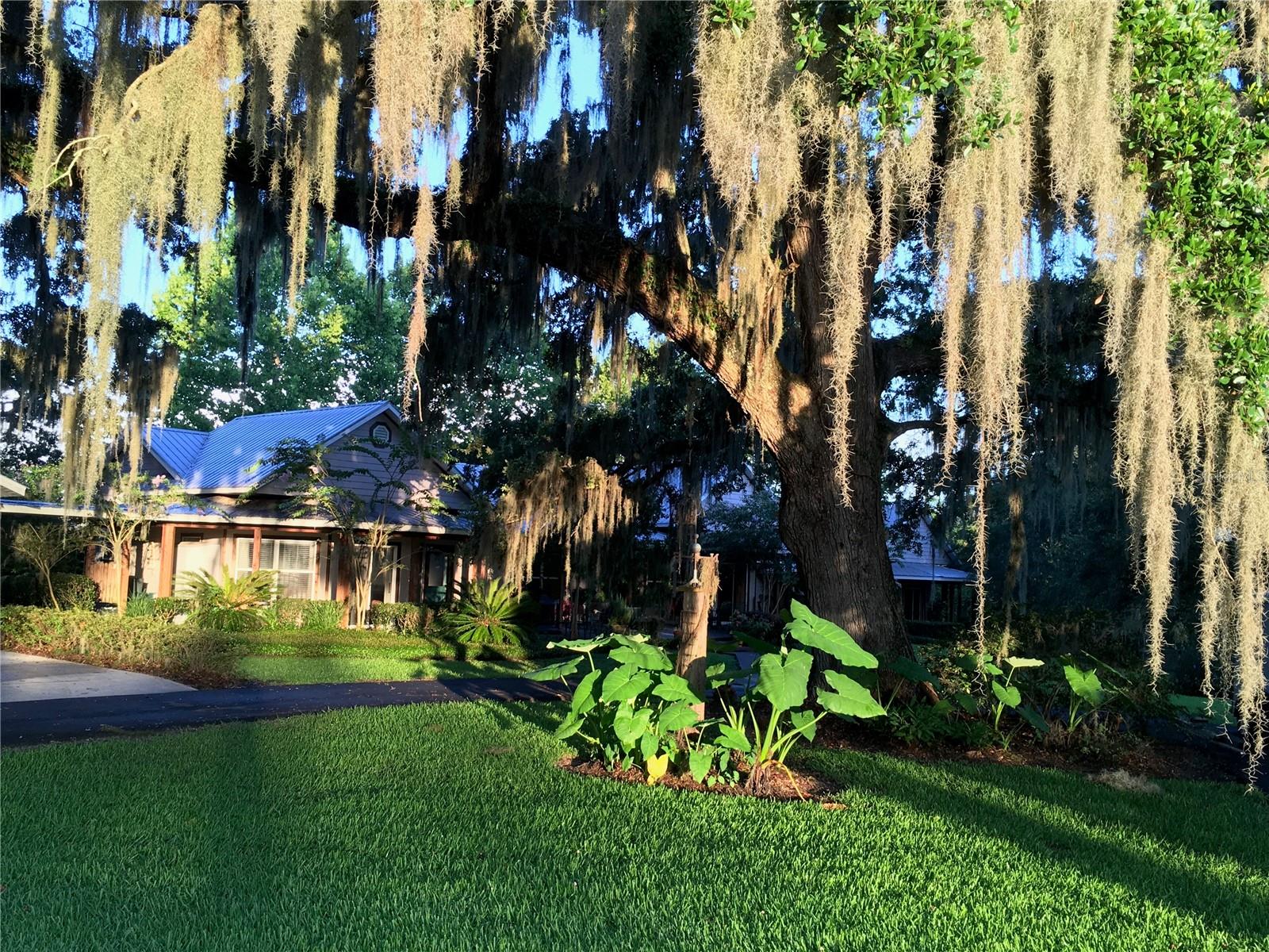 15000 W HWY 318, WILLISTON, FL — photo 69