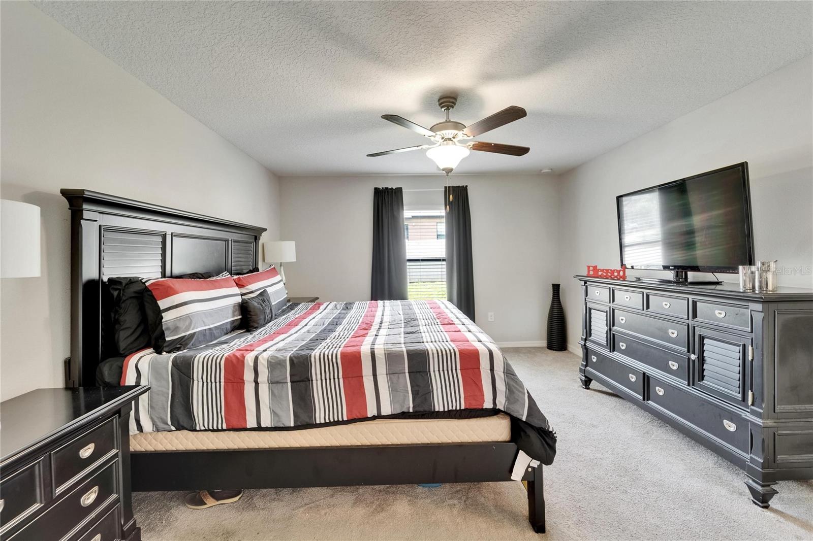 10119 ROSE PETAL PL, RIVERVIEW, FL — photo 10