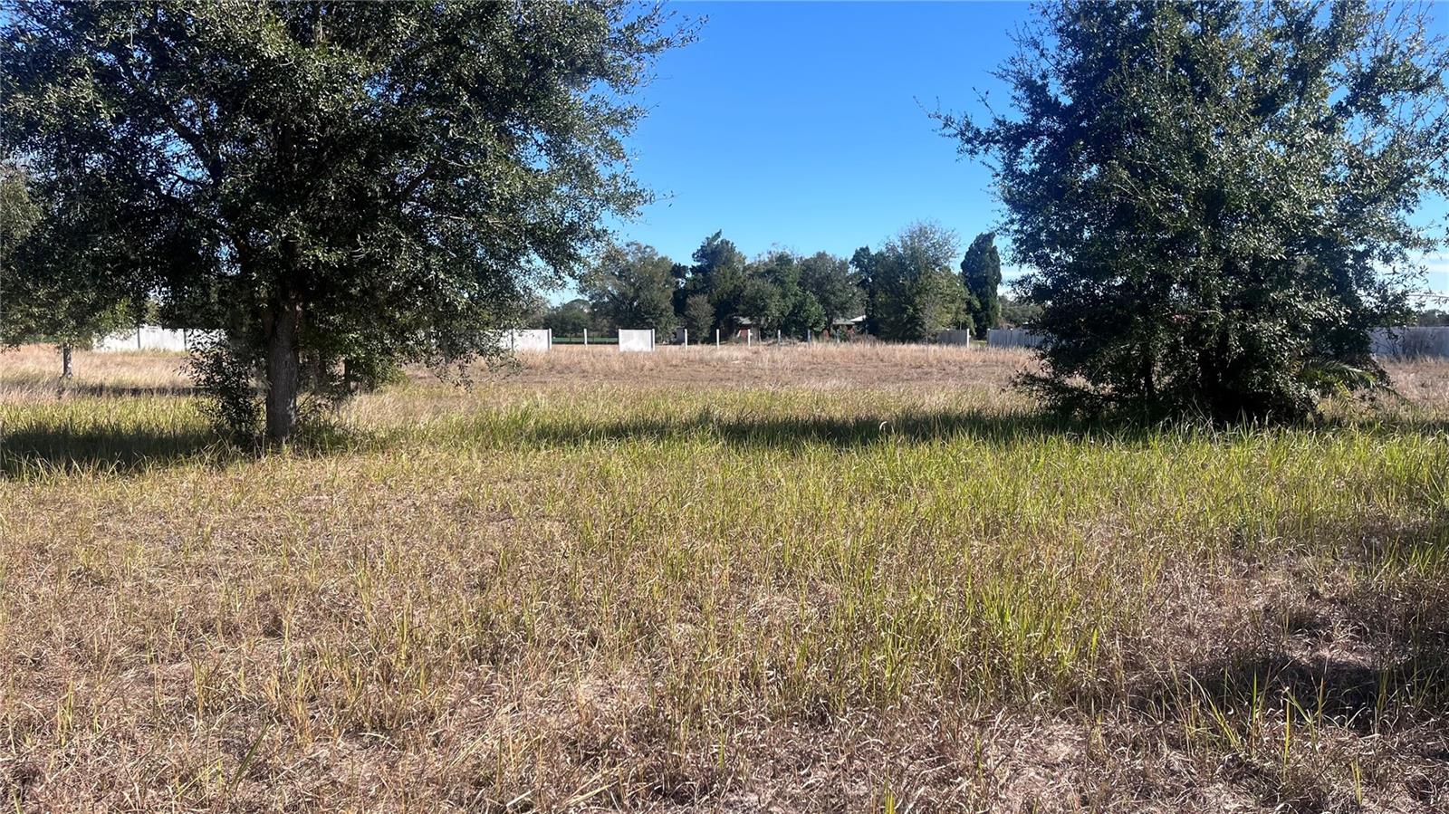 13415 COCOPAH LN, DOVER, FL — photo 13