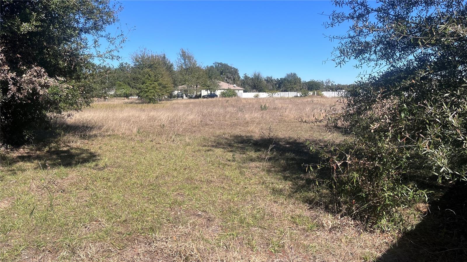 13415 COCOPAH LN, DOVER, FL — photo 9
