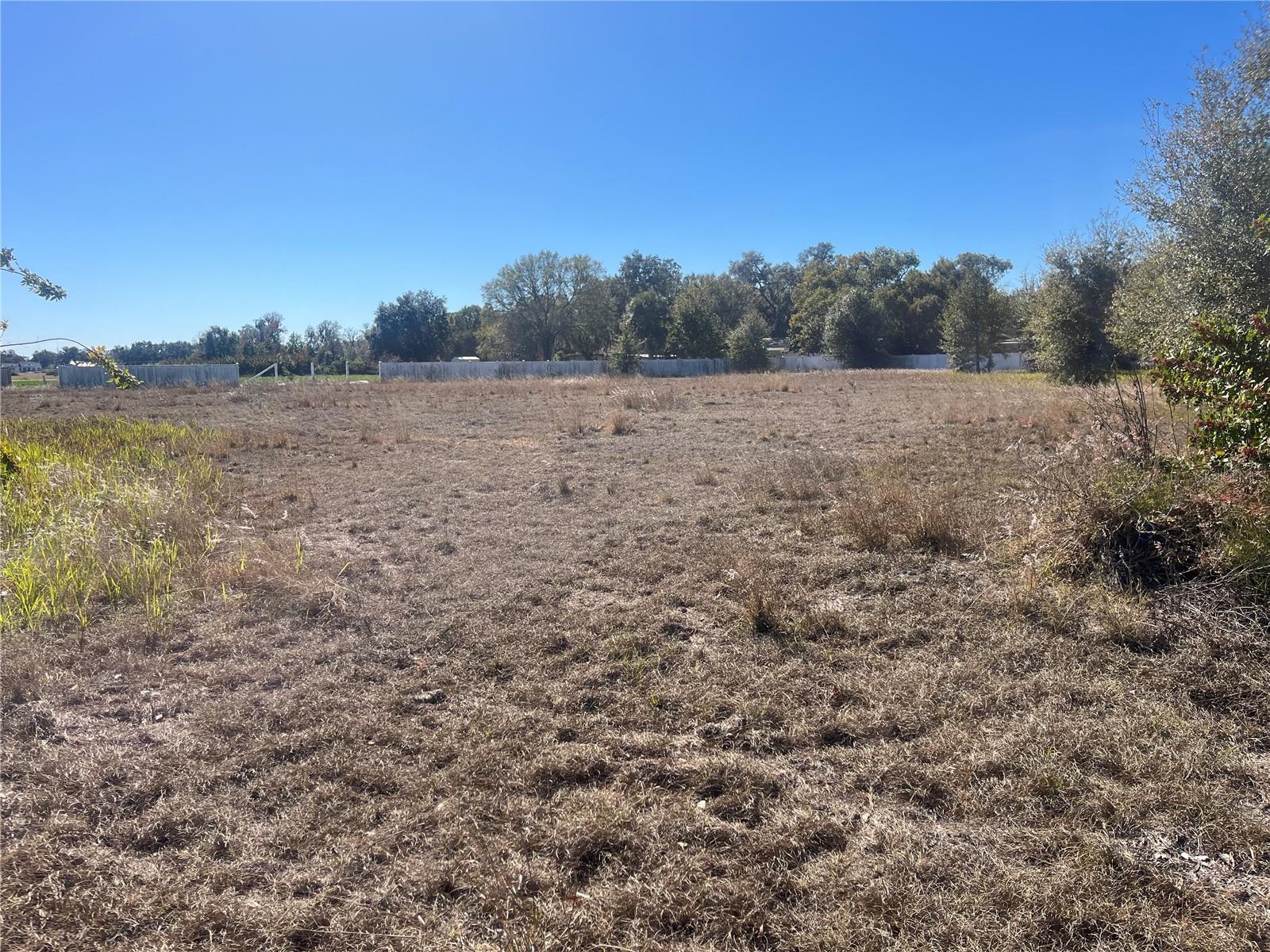 13415 COCOPAH LN, DOVER, FL — photo 10