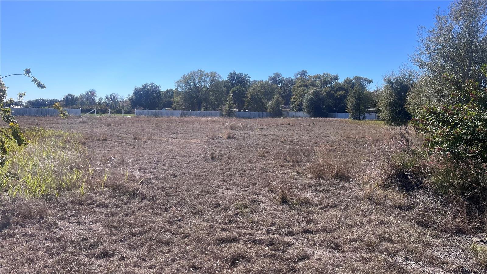 13415 COCOPAH LN, DOVER, FL — photo 11
