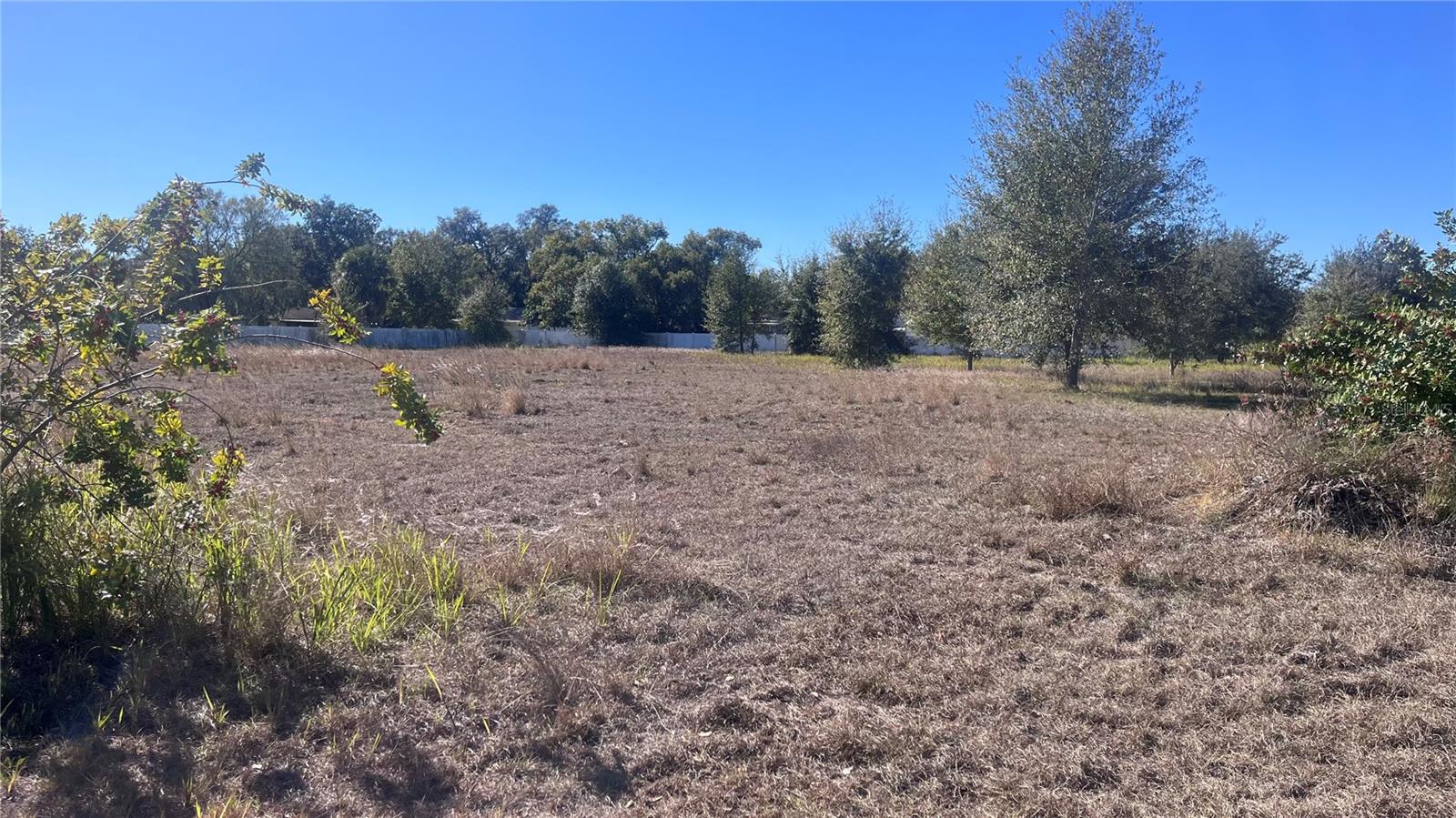 13415 COCOPAH LN, DOVER, FL — photo 12