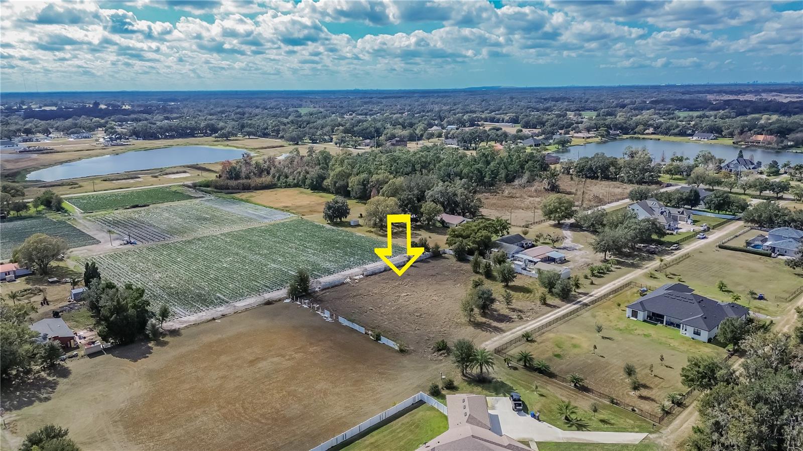 13415 COCOPAH LN, DOVER, FL — photo 3