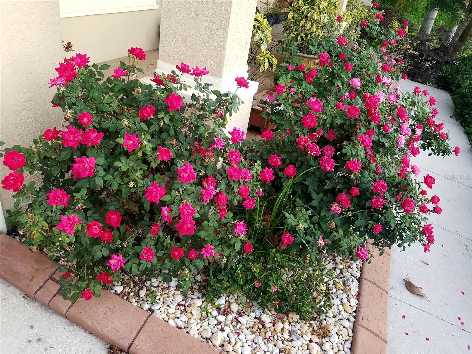 10503 PALM COVE AVE, TAMPA, FL — photo 108