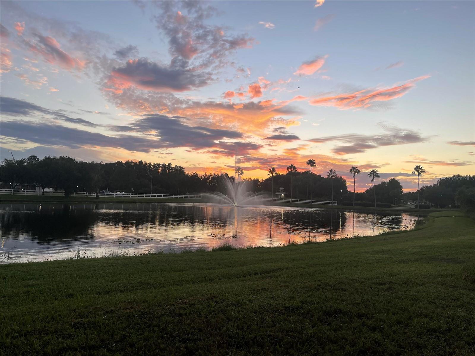 10503 PALM COVE AVE, TAMPA, FL — photo 127