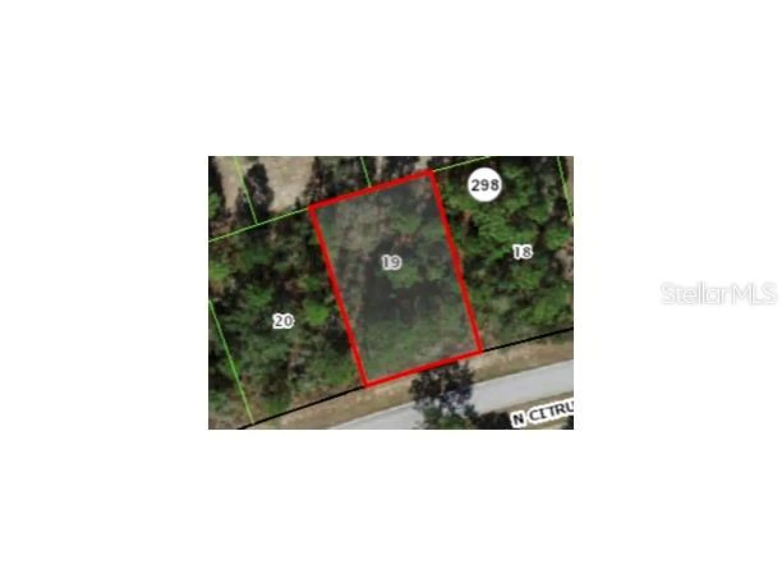 9236 N CITRUS SPRINGS BLVD, CITRUS SPRINGS, FL — photo 2