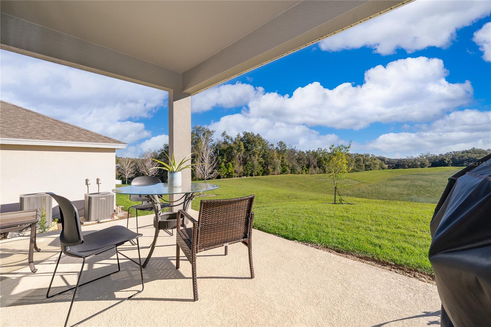 2060 KEYSTONE PASS BLVD, MINNEOLA, FL — photo 50