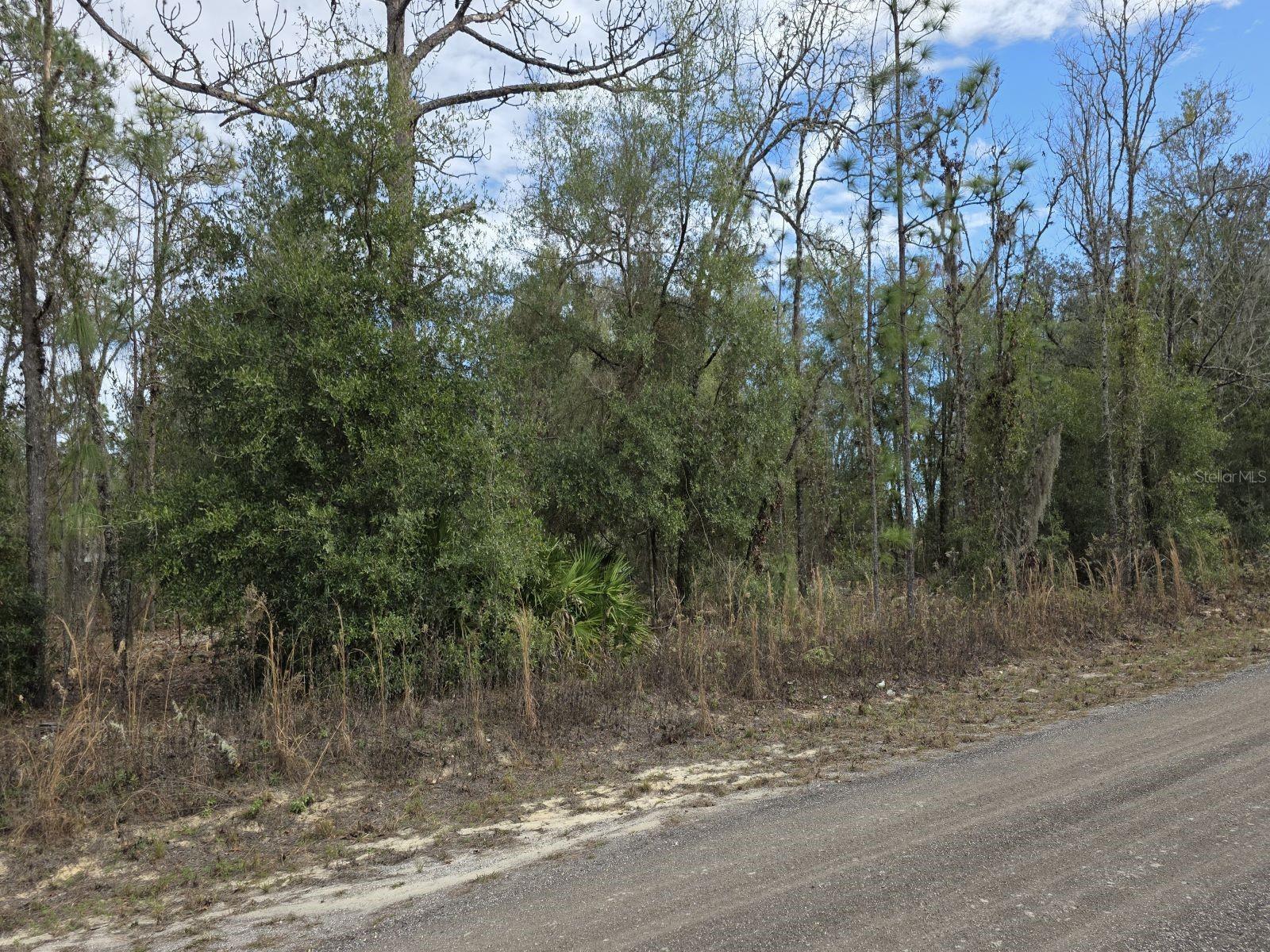SW 141ST CT, OCALA, FL