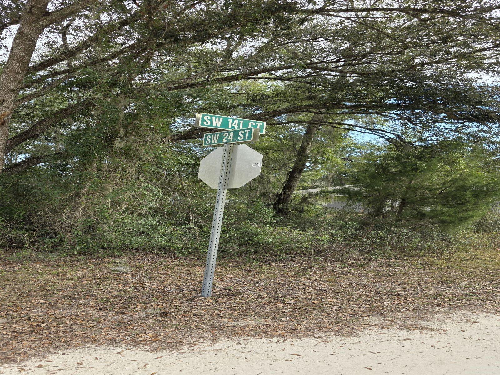 SW 141ST CT, OCALA, FL — photo 5