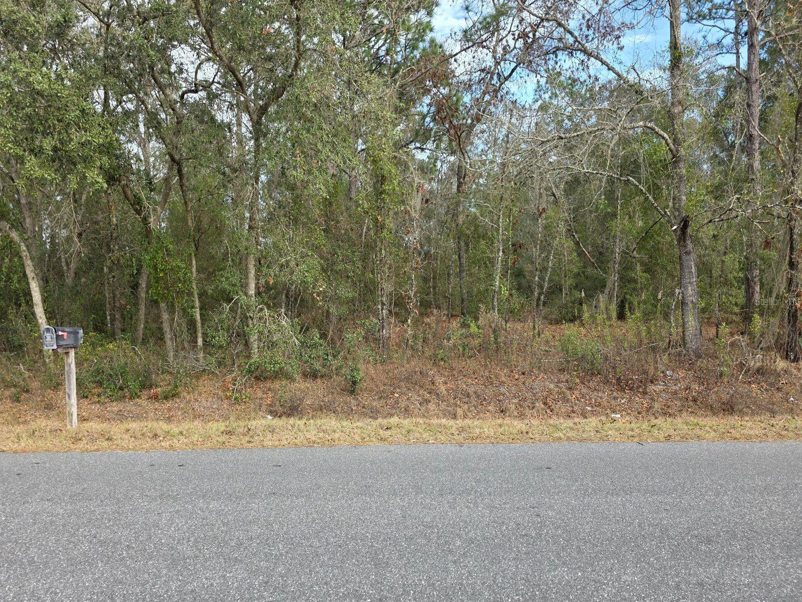 SW 140TH CT, OCALA, FL