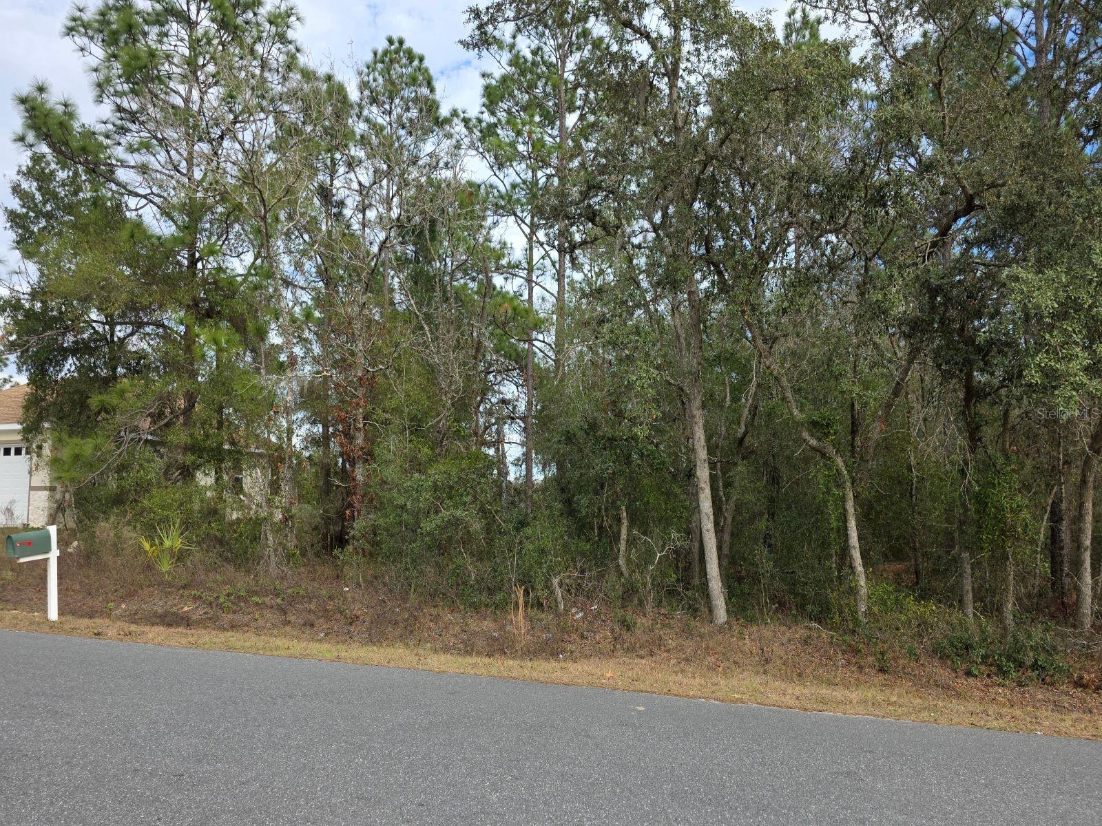 SW 140TH CT, OCALA, FL — photo 4