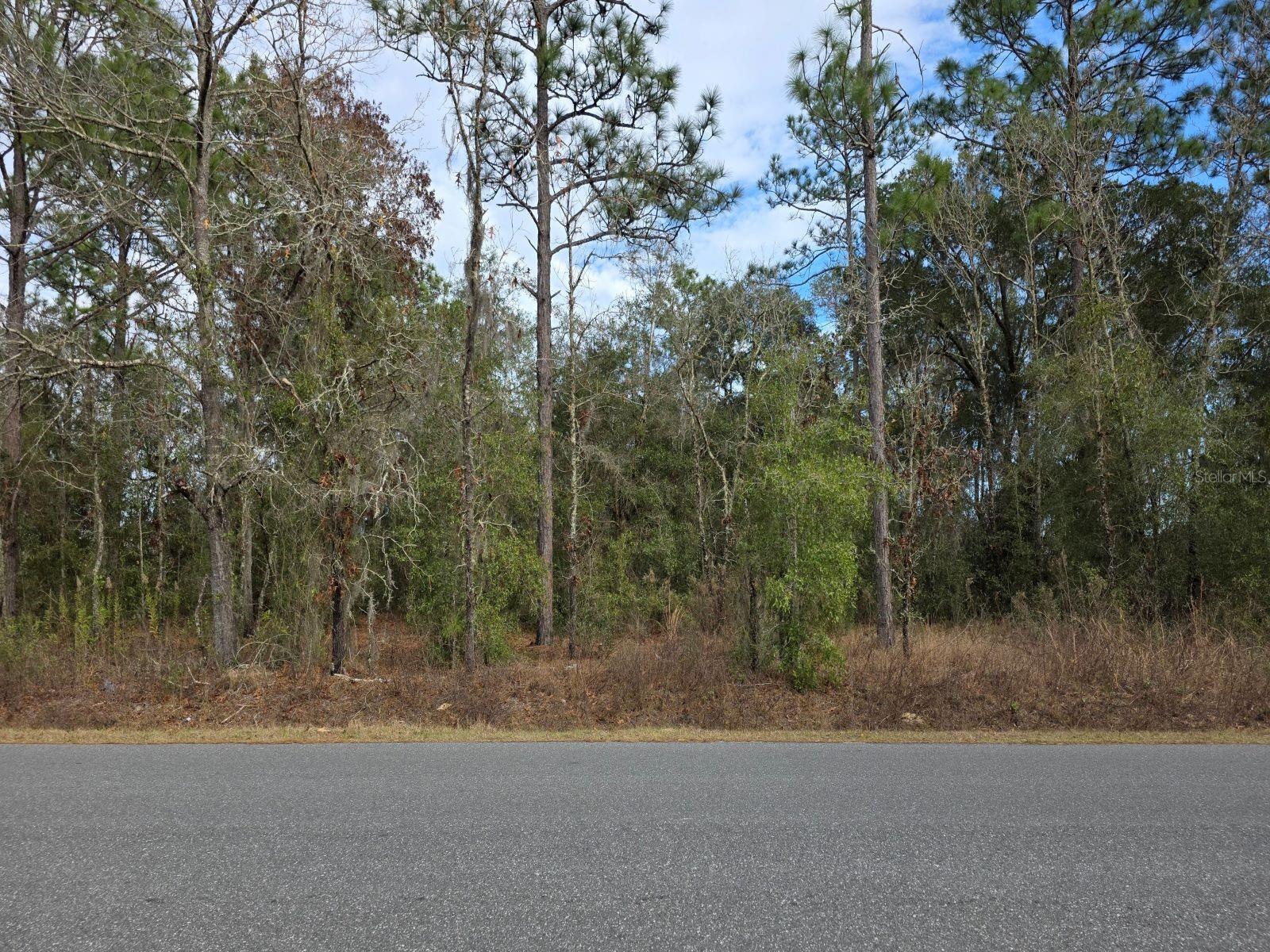 SW 140TH CT, OCALA, FL — photo 5
