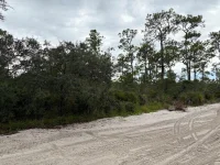5932, CANOPY RD — photo 3