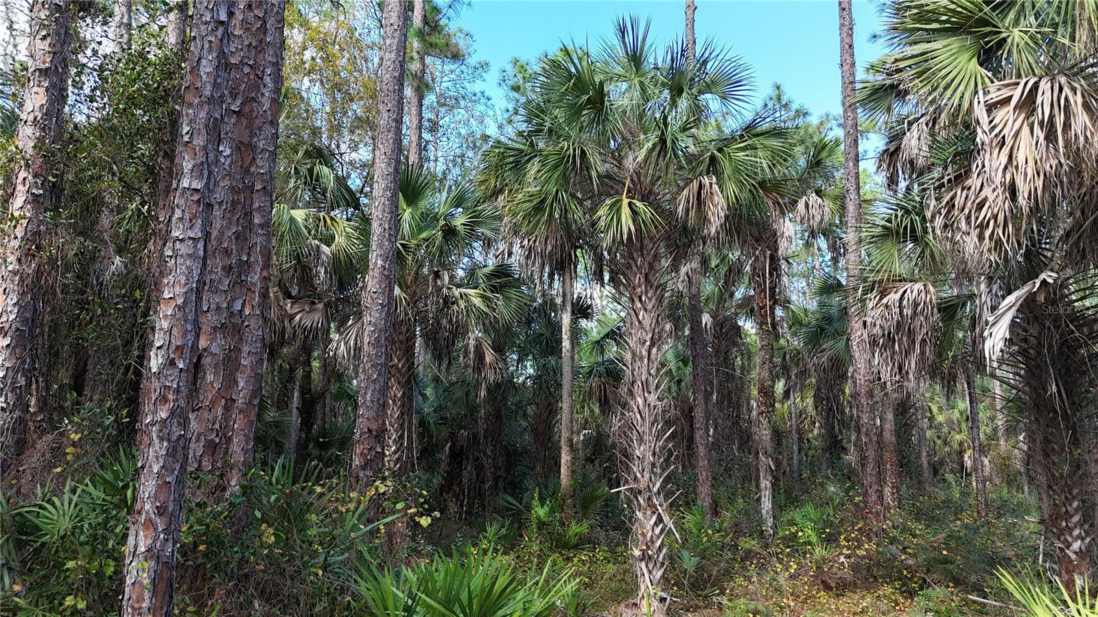 16TH AVE SE, NAPLES, FL — photo 2
